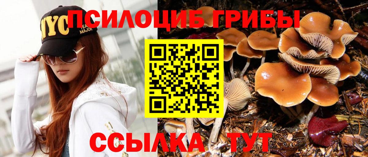 Галлюциногенные грибы прущие грибы Лянтор